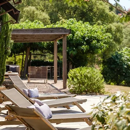 Bergerie Renovee Avec Piscine Sainte-Maxime